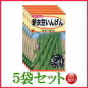 【5袋割引セット♪】【全国送料無料】新衣笠いんげん / トーホク 野菜 ハーブ 草花 園芸 栽培 肥料 家庭菜園 球根 苗 種まき 種子 たね タネ ガーデニング ポット じょうろ フタバサカタのタネ タキイ種苗 ★在庫がある商品のみ12時（土日祝を除く）までのご注文で当日出荷