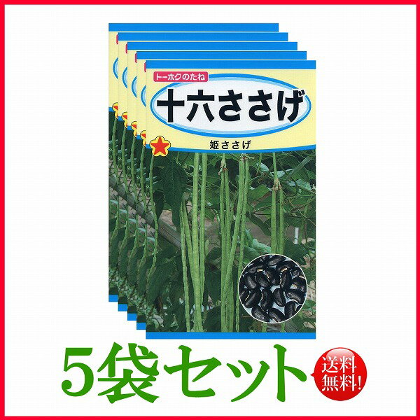 【5袋割引セット♪】【全国送料無料】十六ささげ/ トーホク 野菜 ハーブ 草花 園芸 栽培 肥料 家庭菜園 球根 苗 種まき 種子 たね タネ 植物 ガーデニング 松永種苗 フタバ種苗 サカタのタネ タキイ種苗 ★在庫がある商品のみ12時（土日祝を除く）までのご注文で当日出荷