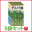 【5袋割引セット♪】【全国送料無料】アスパラ菜/ トーホク 野菜 ハーブ 草花 園芸 栽培 肥料 家庭菜園 球根 苗 種まき 種子 たね タネ 植物 ガーデニング ポット じょうろ フタバ種苗 サカタのタネ タキイ★在庫がある商品のみ12時(土日祝を除く)までのご注文で当日出荷