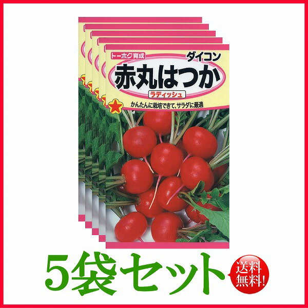 【5袋割引セット♪】【全国送料無料】赤丸はつか　ラディッシュ/ トーホク 野菜 ハーブ 草花 園芸 栽培 肥料 家庭菜園 球根 苗 種まき 種子 たね 植物 ガーデニング 松永種苗 フタバ サカタのタネ タキイ★在庫がある商品のみ12時（土日祝を除く）までのご注文で当日出荷