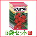 【5袋割引セット♪】【全国送料無料】赤丸はつか ラディッシュ/ トーホク 野菜 ハーブ 草花 園芸 栽培 肥料 家庭菜園 球根 苗 種まき 種子 たね 植物 ガーデニング 松永種苗 フタバ サカタのタネ タキイ★在庫がある商品のみ12時(土日祝を除く)までのご注文で当日出荷
