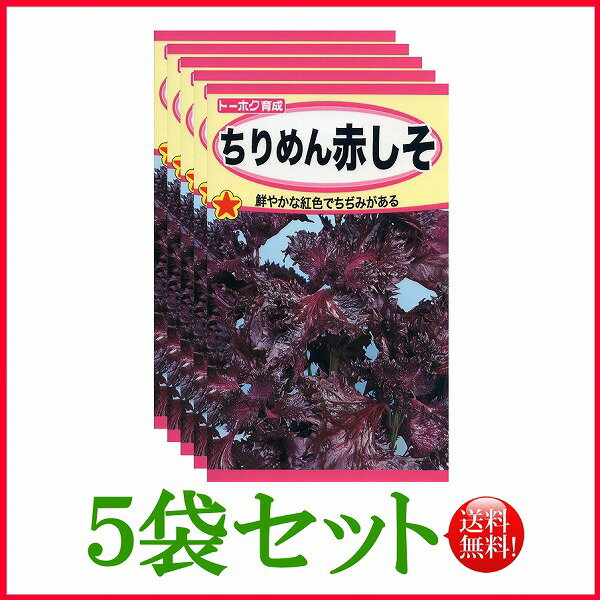 【5袋割引セット 】【全国送料無料】ちりめん赤しそ/ トーホク 野菜 ハーブ 草花 園芸 栽培 肥料 家庭菜園 球根 苗 種まき 種子 たね ガーデニング じょうろ 松永種苗 フタバ種苗 サカタのタネ…