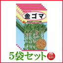 【5袋割引セット♪】【全国送料無料】金ゴマ/ トーホク 野菜 ハーブ 草花 園芸 栽培 肥料 家庭菜園 球根 苗 種まき 種子 たね タネ 植物 ガーデニング ポット 松永種苗 フタバ種苗 サカタのタネ タキイ★在庫がある商品のみ12時(土日祝を除く)までのご注文で当日出荷