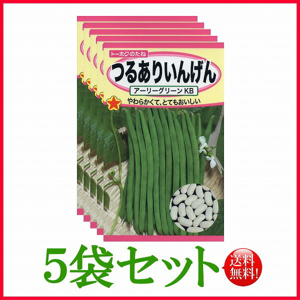 【5袋割引セット♪】【全国送料無料】つるありいんげん アーリーグリーンKB　/ トーホク 野菜 ハーブ 草花 園芸 栽培 肥料 家庭菜園 球根 苗 種まき 種子 たね 植物 ガーデニング 培養土 ポット じょうろ★在庫がある商品のみ12時（土日祝を除く）までのご注文で当日出荷