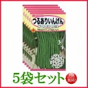 【5袋割引セット♪】【全国送料無料】つるありいんげん アーリーグリーンKB / トーホク 野菜 ハーブ 草花 園芸 栽培 肥料 家庭菜園 球根 苗 種まき 種子...