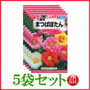 【5袋割引セット♪】【全国送料無料】 八重咲まつばぼたん/ トーホク 野菜 ハーブ 草花 園芸 栽培 肥料 家庭菜園 球根 苗 種子 たね ガーデニング 培養土 じょうろ 松永種苗 フタバ種苗 サカタのタネ タキイ★在庫がある商品のみ12時(土日祝を除く)までのご注文で当日出荷