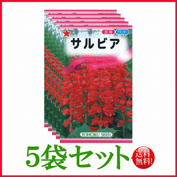 【5袋割引セット 】【全国送料無料】 サルビア/ トーホク 野菜 ハーブ 草花 園芸 栽培 肥料 家庭菜園 球根 苗 種まき 種子 タネ 植物 ガーデニング ポット じょうろ 松永 フタバ種苗 サカタの…