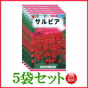 【5袋割引セット♪】【全国送料無料】 サルビア/ トーホク 野菜 ハーブ 草花 園芸 栽培 肥料 家庭菜園 球根 苗 種まき 種子 タネ 植物 ガーデニング ポット じょうろ 松永 フタバ種苗 サカタのタネ タキイ★在庫がある商品のみ12時(土日祝を除く)までのご注文で当日出荷