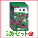 【5袋割引セット♪】【全国送料無料】 千日紅/ トーホク 野菜 ハーブ 草花 園芸 栽培 肥料 家庭菜園 球根 苗 種まき 種子 たね タネ 植物 ガーデニング...
