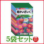 【5袋割引セット♪】【全国送料無料】 姫かいざいく/ トーホク 野菜 ハーブ 草花 園芸 栽培 肥料 家庭菜園 球根 種まき 種子 たね タネ 植物 ガーデニング ポット 松永種苗 フタバ サカタのタネ タキイ種苗 ★在庫がある商品のみ12時（土日祝を除く）までのご注文で当日出荷