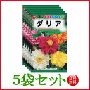 【5袋割引セット♪】【全国送料無料】 ダリア/ トーホク 野菜 ハーブ 草花 園芸 栽培 肥料 家庭菜園 球根 苗 種まき 種子 たね タネ 植物 ガーデニング ポット じょうろ 松永種苗 フタバ サカタのタネ タキイ★在庫がある商品のみ12時(土日祝を除く)までのご注文で当日出荷