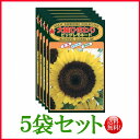 【5袋割引セット♪】【全国送料無料】 大輪ひまわり ビッグレモネード / トーホク 野菜 ハーブ 草花 園芸 栽培 肥料 家庭菜園 球根 苗 種まき たね ガー...