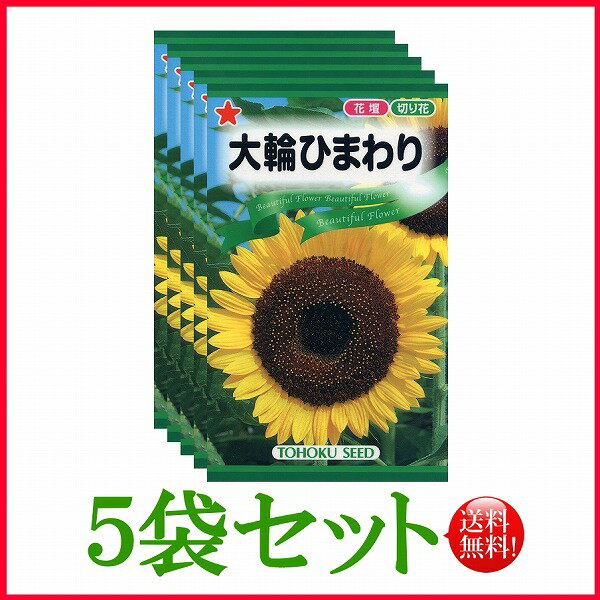 【5袋割引セット♪】【全国送料無料】 大輪ひまわり / トーホク 野菜 ハーブ 草花 園芸 栽培 肥料 家庭菜園 球根 苗 種まき 種子 たね タネ ガーデニング ポット フタバ サカタのタネ タキイ種苗 土壌改良★在庫がある商品のみ12時（土日祝を除く）までのご注文で当日出荷