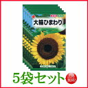 【5袋割引セット♪】【全国送料無料】 大輪ひまわり / トーホク 野菜 ハーブ 草花 園芸 栽培 肥料 家庭菜園 球根 苗 種まき 種子 たね タネ ガーデニン...