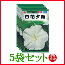 【5袋割引セット♪】【全国送料無料】 白花夕顔/ トーホク 野菜 ハーブ 草花 園芸 栽培 肥料 家庭菜園 球根 苗 種まき 種子 たね タネ 植物 ガーデニン...