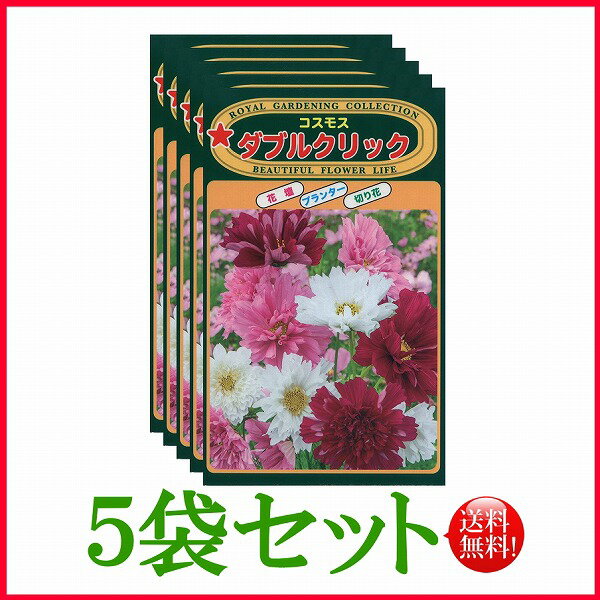  コスモス　ダブルクリック / トーホク 野菜 ハーブ 草花 園芸 栽培 肥料 家庭菜園 球根 苗 種まき 種子 ガーデニング じょうろ 松永種苗 フタバ サカタのタネ タキイ★在庫がある商品のみ12時（土日祝を除く）までのご注文で当日出荷