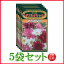 【5袋割引セット♪】【全国送料無料】 コスモス ダブルクリック / トーホク 野菜 ハーブ 草花 園芸 栽培 肥料 家庭菜園 球根 苗 種まき 種子 ガーデニング じょうろ 松永種苗 フタバ サカタのタネ タキイ★在庫がある商品のみ12時(土日祝を除く)までのご注文で当日出荷