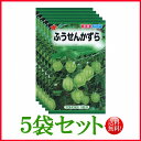 【5袋割引セット♪】【全国送料無料】 ふうせんかずら/ トーホク 野菜 ハーブ 草花 園芸 栽培 肥料 家庭菜園 球根 苗 種まき 種子 たね ガーデニング ポ...