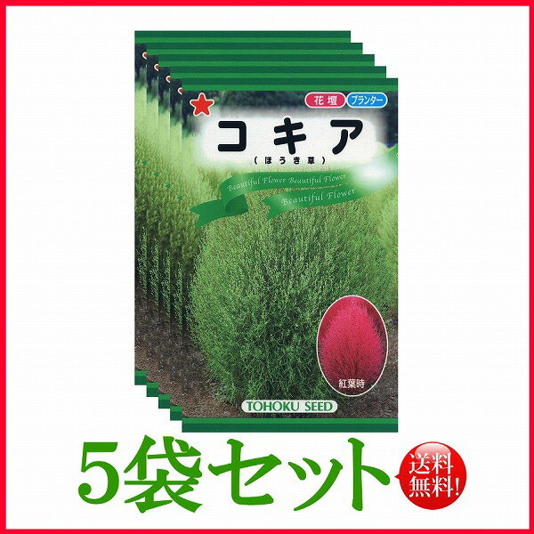  コキア（ほうき草）/ トーホク 野菜 ハーブ 草花 園芸 栽培 肥料 家庭菜園 球根 苗 種まき 種子 たね タネ ガーデニング ポット フタバ種苗 サカタのタネ タキイ種苗 ★在庫がある商品のみ12時（土日祝を除く）までのご注文で当日出荷