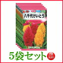 【5袋割引セット♪】【全国送料無料】 八千代けいとう / トーホク 野菜 ハーブ 草花 園芸 栽培 肥料 家庭菜園 苗 種子 たね タネ 植物 ガーデニング じ...