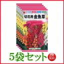 【5袋割引セット♪】【全国送料無料】 切花用 金魚草/ トーホク 野菜 ハーブ 草花 園芸 栽培 肥料 家庭菜園 球根 種まき 種子 たね ガーデニング ポット...