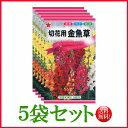 【5袋割引セット♪】【全国送料無料】 切花用　金魚草/ トーホク 野菜 ハーブ 草花 園芸 栽培 肥料 家庭菜園 球根 種まき 種子 たね ガーデニング ポット じょうろ 松永種苗 フタバ種苗 サカタのタネ タキイ★在庫がある商品のみ12時（土日祝を除く）までのご注文で当日出荷