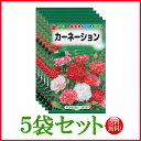  カーネーション/ トーホク 野菜 ハーブ 草花 園芸 栽培 肥料 家庭菜園 球根 苗 種まき 種子 たね タネ ガーデニング じょうろ 松永種苗 フタバ種苗 サカタのタネ タキイ★在庫がある商品のみ12時（土日祝を除く）までのご注文で当日出荷