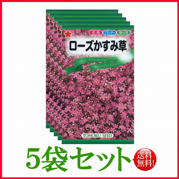 【5袋割引セット♪】【全国送料無料】 ローズかすみ草/ トーホク 野菜 ハーブ 草花 園芸 栽培 肥料 家庭菜園 球根 苗 種まき ガーデニング ポット じょうろ 松永種苗 フタバ種苗 サカタのタネ タキイ種苗 ★在庫がある商品のみ12時（土日祝を除く）までのご注文で当日出荷