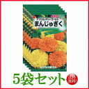  アフリカンマリーゴールド まんじゅぎく/ トーホク 野菜 ハーブ 草花 園芸 栽培 肥料 家庭菜園 苗 種まき 種子 タネ ガーデニング フタバ種苗 サカタのタネ タキイ種苗★在庫がある商品のみ12時（土日祝を除く）までのご注文で当日出荷