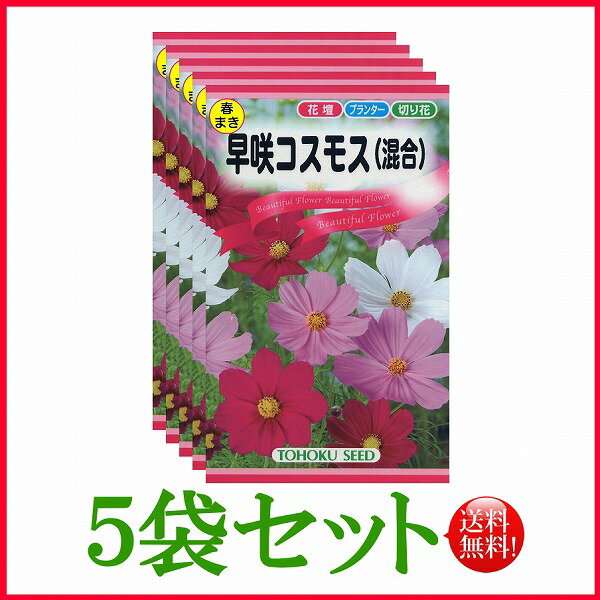 【5袋割引セット♪】【全国送料無料】 早咲コスモス（混合）/ トーホク 野菜 ハーブ 草花 園芸 栽培 肥料 家庭菜園 球根 苗 種まき ガーデニング ポット じょうろ 松永種苗 フタバ種苗 サカタのタネ タキイ ★在庫がある商品のみ12時（土日祝を除く）までのご注文で当日出荷