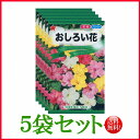 【5袋割引セット♪】【全国送料無料】 おしろい花/ トーホク 野菜 ハーブ 草花 園芸 栽培 肥料 家庭菜園 球根 苗 種まき たね タネ 植物 ガーデニング ポット じょうろ 松永 フタバ種苗 サカタのタネ タキイ★在庫がある商品のみ12時(土日祝を除く)までのご注文で当日出荷