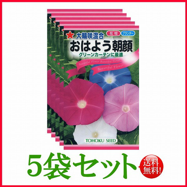 【5袋割引セット♪】【全国送料無料】 大輪咲混合　おはよう朝顔 あさがお/ トーホク 野菜 ハーブ 草花 園芸 夏休み 家庭菜園 球根 ガーデニング ポット じょうろ 松永種苗 フタバ サカタのタネ タキイ★在庫がある商品のみ12時（土日祝を除く）までのご注文で当日出荷