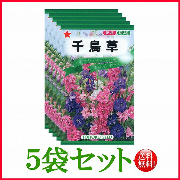 【5袋割引セット♪】【全国送料無料】 千鳥草/ トーホク 野菜 ハーブ 草花 園芸 栽培 肥料 家庭菜園 球根 苗 種まき 種子 たね タネ 植物 ガーデニング 培養土 松永種苗 フタバ種苗 サカタのタネ タキイ★在庫がある商品のみ12時（土日祝を除く）までのご注文で当日出荷