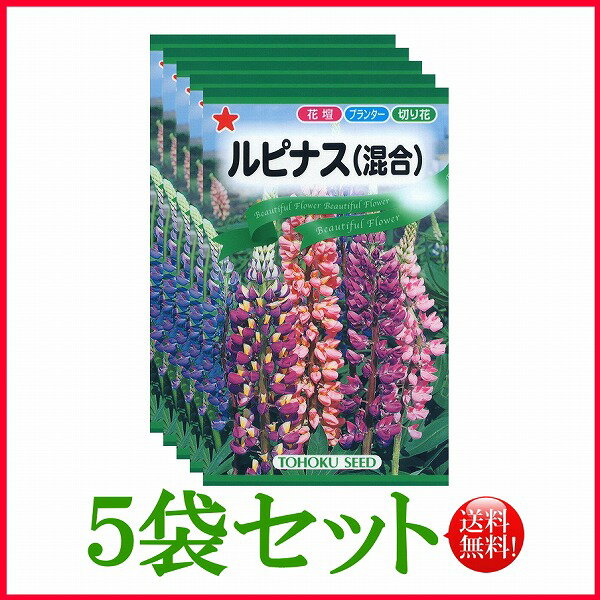 【5袋割引セット 】【全国送料無料】 ルピナス 混合 / トーホク 野菜 ハーブ 草花 園芸 栽培 肥料 家庭菜園 種子 たね タネ 植物 ガーデニング ポット じょうろ 松永種苗 フタバ サカタのタネ …