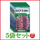 【5袋割引セット♪】【全国送料無料】 ルピナス(混合)/ トーホク 野菜 ハーブ 草花 園芸 栽培 肥料 家庭菜園 種子 たね タネ 植物 ガーデニング ポット...