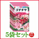 【5袋割引セット♪】【全国送料無料】 ゴデチヤ/ トーホク 野菜 ハーブ 草花 園芸 栽培 肥料 家庭菜園 苗 種まき 種子 たね タネ 植物 ガーデニング ポット じょうろ 松永種苗 フタバ サカタのタネ タキイ★在庫がある商品のみ12時(土日祝を除く)までのご注文で当日出荷
