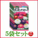 【5袋割引セット♪】【全国送料無料】 切花用 ポンポンアスター/ トーホク 野菜 ハーブ 草花 園芸 栽培 肥料 家庭菜園 球根 苗 種まき 種子 たね ガーデニング じょうろ 松永フタバ種苗 サカタのタネ タキイ★在庫がある商品のみ12時(土日祝を除く)までのご注文で当日出荷