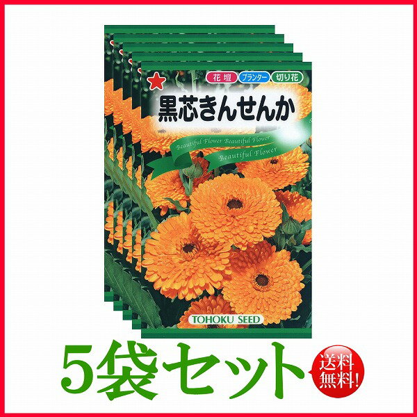 【5袋割引セット♪】【全国送料無料】 黒芯きんせんか/ トーホク 野菜 ハーブ 草花 園芸 栽培 肥料 家庭菜園 球根 種まき たね タネ 植物 ガーデニング ポット じょうろ フタバ種苗 サカタのタネ タキイ★在庫がある商品のみ12時（土日祝を除く）までのご注文で当日出荷