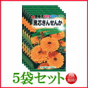 【5袋割引セット♪】【全国送料無料】 黒芯きんせんか/ トーホク 野菜 ハーブ 草花 園芸 栽培 肥料 家庭菜園 球根 種まき たね タネ 植物 ガーデニング ...