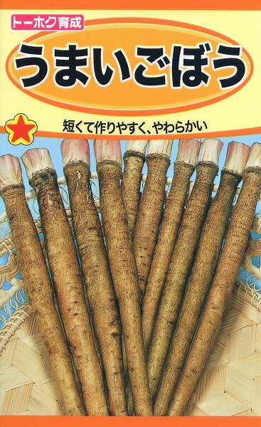 【全国送料無料】うまいごぼう/ トーホク 野菜 ハーブ 草花 園芸 栽培 肥料 家庭菜園 球根 苗 種まき 種子 たね タネ 植物 ガーデニング 培養土 じょうろ 松永種苗 フタバ種苗 サカタのタネ タ…