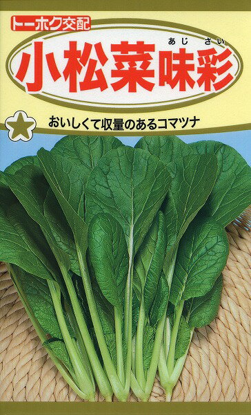 【全国送料無料】小松菜 味彩（あじさい）/ トーホク 野菜 ハーブ 草花 園芸 栽培 肥料 家庭菜園 球根 苗 種まき 種子 たね タネ 植物 ガーデニング 松永種苗 フタバ種苗 サカタのタネ タキイ種苗 連作障害★在庫がある商品のみ12時（土日祝を除く）までのご注文で当日出荷