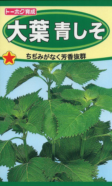 【全国送料無料】大葉青しそ/ トーホク 野菜 ハーブ 草花 園芸 栽培 肥料 家庭菜園 球根 苗 種まき 種子 たね 生姜焼き 梅肉チキン 梅ぼし 自家製 手作り 梅肉チーズ大葉巻き 梅肉エキス 無農…