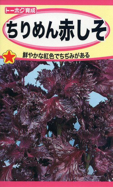 【全国送料無料】ちりめん赤しそ/ トーホク 野菜 ハーブ 草花 園芸 栽培 肥料 家庭菜園 球根 苗 種まき 種子 たね タネ 植物 ガーデニング じょうろ 松永種苗 フタバ種苗 大葉青しそ タキイ種苗 腐葉土★在庫がある商品のみ12時（土日祝を除く）までのご注文で当日出荷