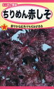 【全国送料無料】ちりめん赤しそ/ トーホク 野菜 ハーブ 草花 園芸 栽培 肥料 家庭菜園 球根 苗 種まき 種子 たね タネ 植物 ガーデニング じょうろ 松永種苗 フタバ種苗 大葉青しそ タキイ種苗 腐葉土★在庫がある商品のみ12時(土日祝を除く)までのご注文で当日出荷