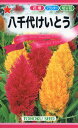 【全国送料無料】 八千代けいとう / トーホク 野菜 ハーブ 草花 園芸 栽培 肥料 家庭菜園 苗 種子 たね タネ 植物 ガーデニング じょうろ 松永種苗 フタバ種苗 サカタのタネ タキイ種苗 連作障害対策 腐葉土★在庫がある商品のみ12時(土日祝を除く)までのご注文で当日出荷