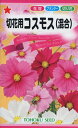 【全国送料無料】 切花用 コスモス（混合） / トーホク 野菜 ハーブ 草花 園芸 栽培 肥料 家庭菜園 球根 苗 種まき 種子 たね タネ ガーデニング じょうろ 松永種苗 フタバ種苗 サカタのタネ タキイ種苗 ★在庫がある商品のみ12時（土日祝を除く）までのご注文で当日出荷