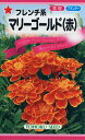 【全国送料無料】 フレンチ系 マリーゴールド(赤)/ トーホク 野菜 ハーブ 草花 園芸 栽培 肥料 家庭菜園 球根 苗 種まき 種子 たね タネ 植物 ガーデニング 培養土 松永 フタバ種苗 サカタのタネ タキイ★在庫がある商品のみ12時(土日祝を除く)までのご注文で当日出荷