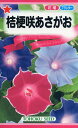 【全国送料無料】 桔梗咲あさがお/ トーホク 野菜 ハーブ 草花 園芸 栽培 肥料 家庭菜園 球根 苗 種まき 種子 たね タネ 植物 ガーデニング 培養土 ポット じょうろ 松永 フタバ種苗 サカタのタネ タキイ★在庫がある商品のみ12時(土日祝を除く)までのご注文で当日出荷