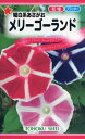 【全国送料無料】 曜白系あさがお メリーゴーランド/ トーホク 野菜 ハーブ 草花 園芸 栽培 肥料 家庭菜園 苗 種まき タネ 植物 ガーデニング じょうろ 松永種苗 フタバ サカタのタネ タキイ種苗 連作障害★在庫がある商品のみ12時(土日祝を除く)までのご注文で当日出荷