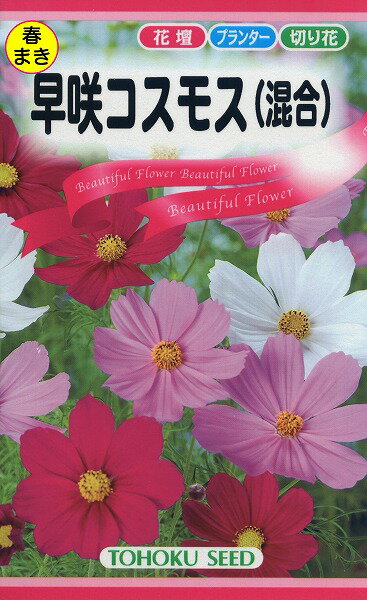 【全国送料無料】 早咲コスモス（混合）/ トーホク 野菜 ハーブ 草花 園芸 栽培 肥料 家庭菜園 球根 苗 種まき 種子 たね タネ ガーデニング ポット じょうろ 松永種苗 フタバ種苗 サカタのタネ タキイ種苗 ★在庫がある商品のみ12時（土日祝を除く）までのご注文で当日出荷